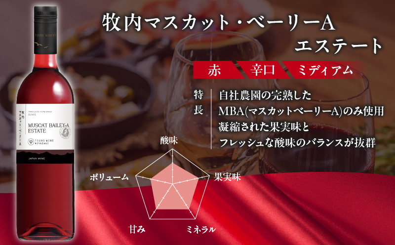 【選べる内容量】 数量限定 牧内マスカット・ベーリーAエステート 1本 or 2本