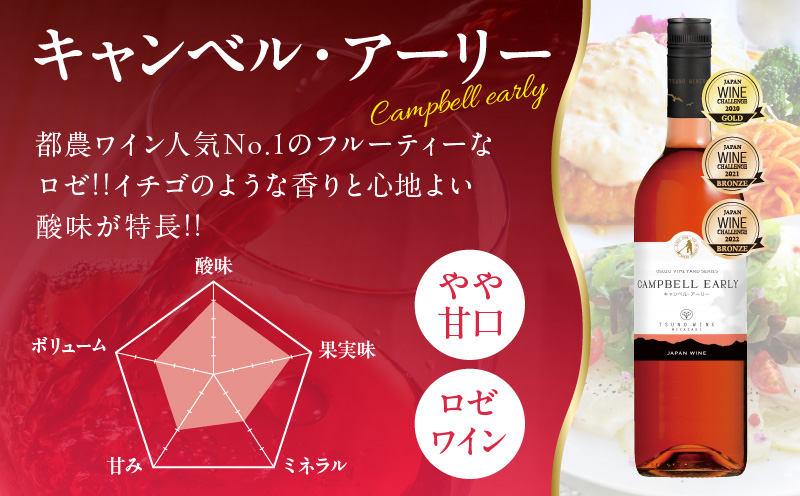 ＼年内発送!!／都農ワインセレクトセット(合計3本) 酒 飲料 アルコール 国産_T014-001-N