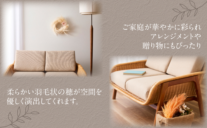 【2週間以内発送】ドライパンパスグラス（オレンジ）計5本 すすき インテリア 国産_T057-003