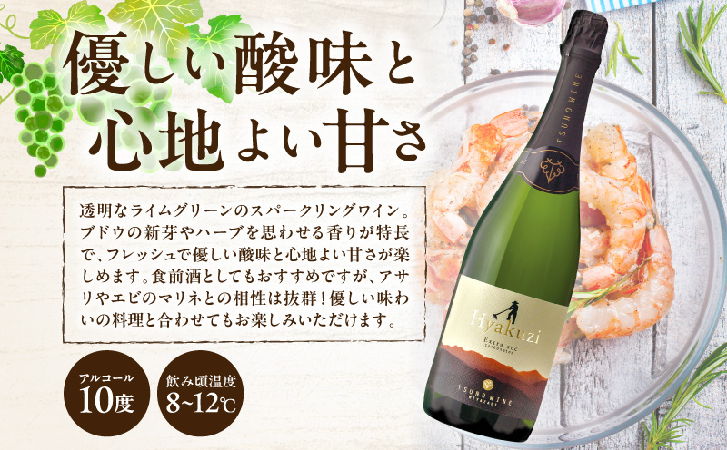 Hyakuzi飲み比べ2本セット 酒 飲料 アルコール 国産_T014-0367