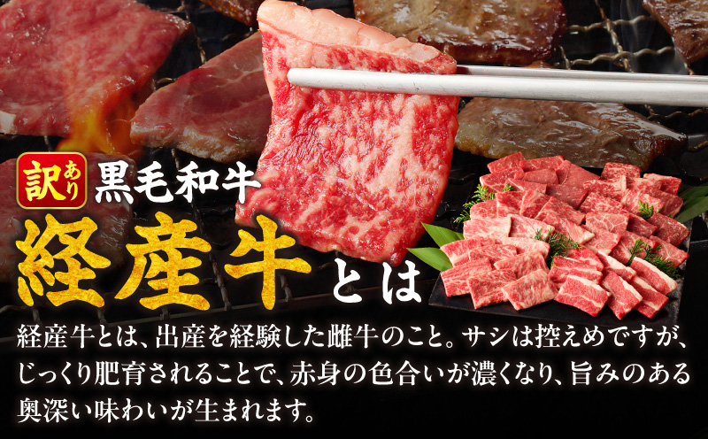 【内容量が選べる】 生産者応援 訳あり 黒毛和牛 6種 焼肉 300g 600g