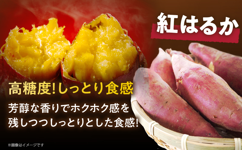 【選べる内容量】冷やし焼き芋(安納芋・紅はるか) 合計800g〜2kg