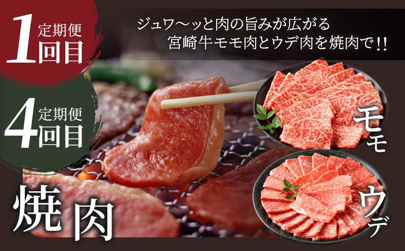 6か月お楽しみ定期便『宮崎牛よくばりセット』総重量4.8kg 肉 牛 牛肉 おかず 国産_T030-1843