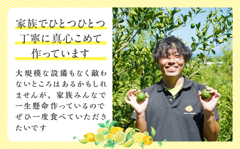 先行予約≪期間限定≫都農町産「南高梅(Lサイズ)」計5kg 梅 梅干し 果物 国産_T008-012