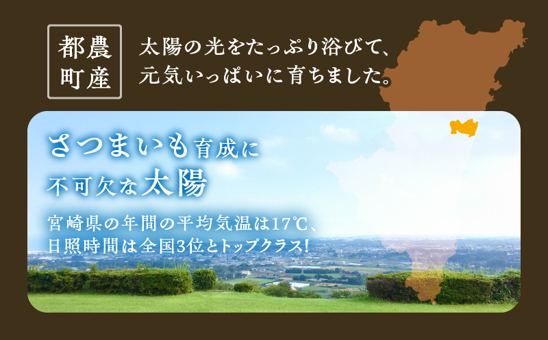 先行予約≪期間限定≫都農町産安納芋(計10kg) 野菜 芋 イモ 国産_T016-0021