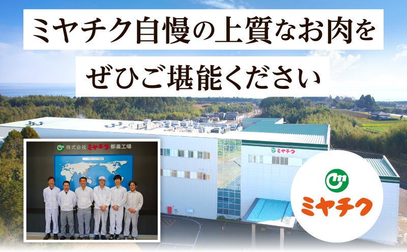 宮崎県産豚肉6種盛り合わせセット(合計1.9kg) 肉 豚 豚肉 おかず 国産_T030-227