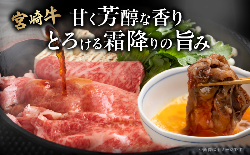 宮崎牛ローススライス(計800g) 肉 牛 牛肉 国産_T050-006