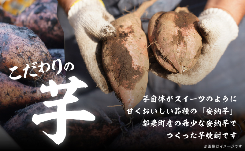 【2週間以内発送】幻の本格芋焼酎『尾鈴芋凰(おすずいもおう)』2本(25度) 酒 アルコール 飲料 国産_T016-0041