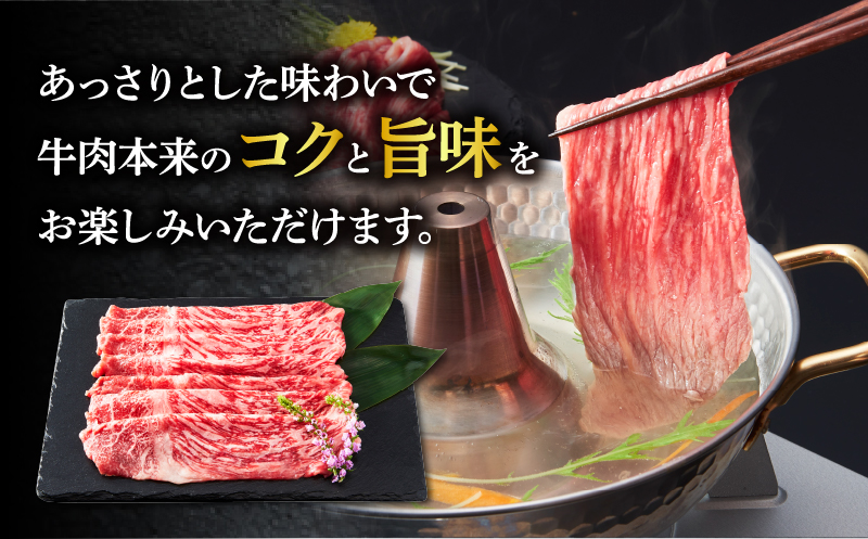 宮崎牛モモスライス(すき焼き用)計500g 肉 牛 牛肉 焼肉 国産_T009-0212
