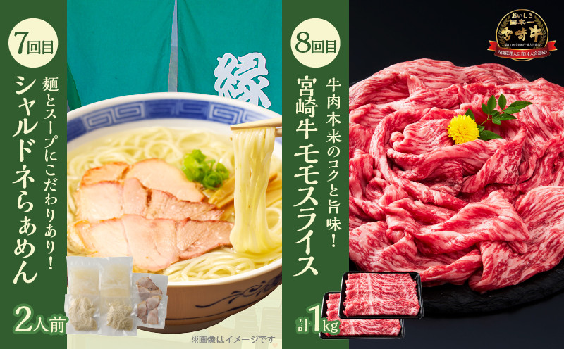 ≪12か月お楽しみ定期便≫都農町定期便(竹) 肉 加工品 デザート 国産_T999-0096