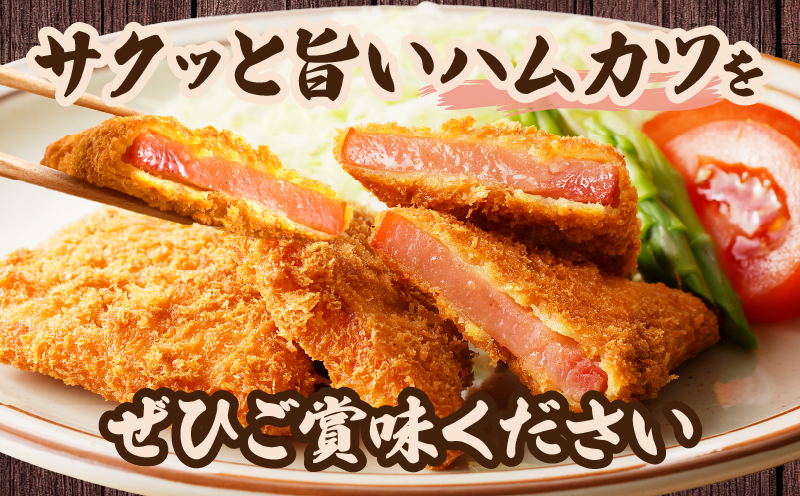 ハムカツ(計20枚) 豚 豚肉 加工品 国産_T006-0031