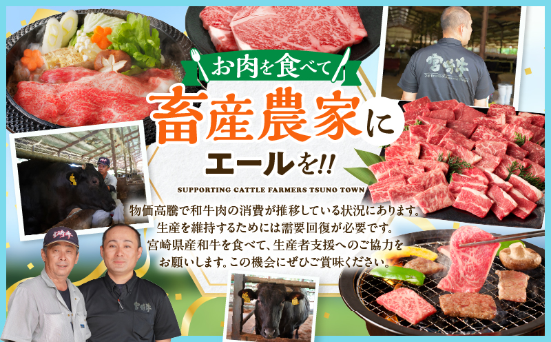 数量限定【畜産農家応援】宮崎牛ロースステーキ(計500g) 肉 牛 牛肉 焼肉 国産_T030-1076