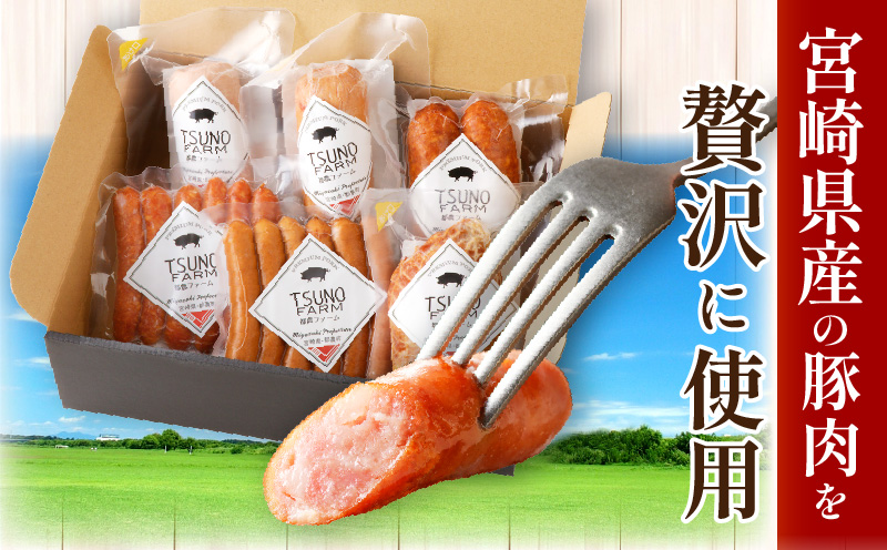 都農ファーム厳選「ウインナー・ハム6点セット」合計860g 肉 豚 豚肉 おかず 国産_T020-0011
