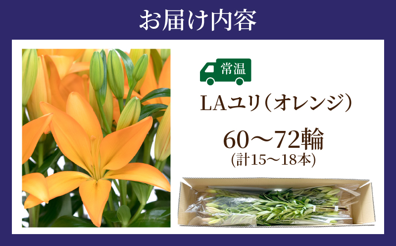 【2週間以内発送】≪期間限定≫LA ユリ(オレンジ) 約15本 生花 切花 百合 国産_T045-0071
