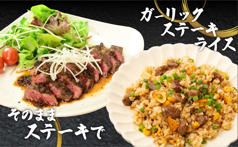 宮崎牛肩ロースステーキ(ハーフカット)計300g 肉 牛 牛肉 焼肉 国産_T009-0052