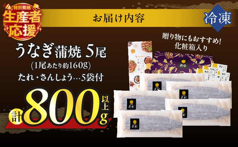 【年内発送】【数量・期間限定 特別規格】うなぎ蒲焼5尾(さんしょう・たれ付き)計800g以上 鰻 魚 魚介 加工品 国産_T026-0032-12