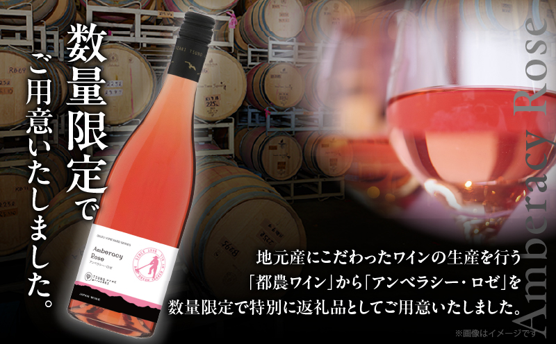 【数量限定】アンベラシー ロゼ(計1本) ワイン 酒 アルコール 国産_T014-047