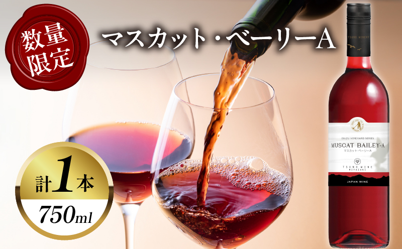 【数量限定】マスカット・ベーリーA (計1本) 酒 飲料 アルコール 国産_T014-024