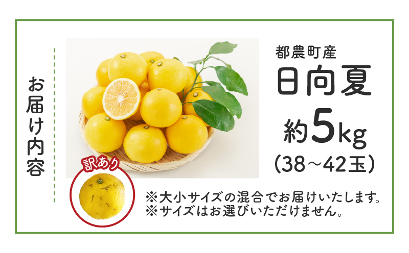 ≪先行予約≫都農町産「訳あり日向夏(約5kg)」 フルーツ 果物 柑橘 国産_T008-004