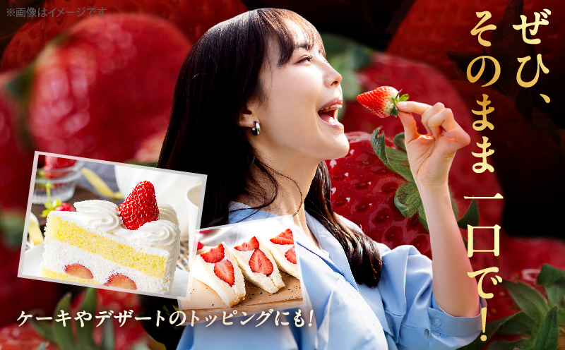 ≪数量限定≫都農町産いちご「やよいひめ」計500g フルーツ 果物 デザート イチゴ 国産_T059-0015