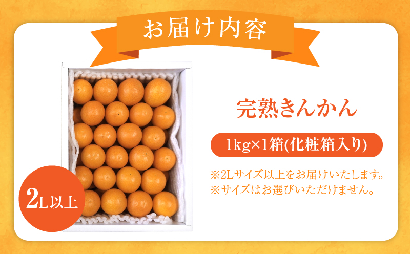 先行予約≪数量限定≫完熟きんかん(計1kg) 化粧箱入り フルーツ 果物 柑橘 国産_T042-0021