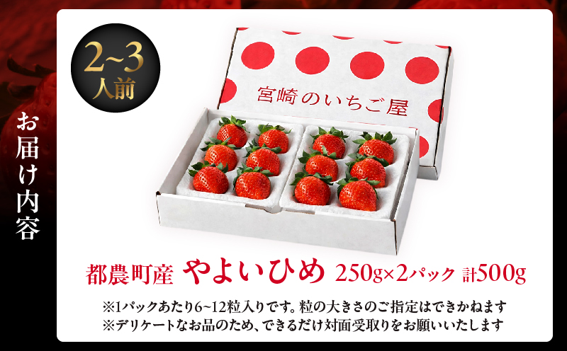≪数量限定≫都農町産いちご「やよいひめ」計500g フルーツ 果物 デザート イチゴ 国産_T059-0015