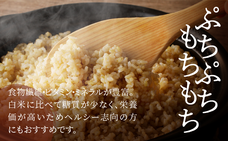 先行予約≪都農町産≫新米コシヒカリ(玄米)5kg 米 お米 ご飯 国産_T031-0035