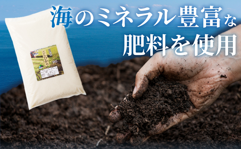 先行予約≪都農町産≫新米コシヒカリ(5kg) 米 お米 ご飯 国産_T031-0015