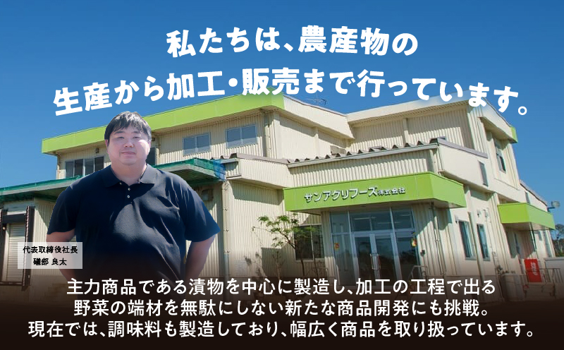 ＼ポスト投函／旨ごま高菜＆ピリ辛高菜セット 計2袋(各120g) 漬物 おかず 野菜 加工品 国産_T025-026