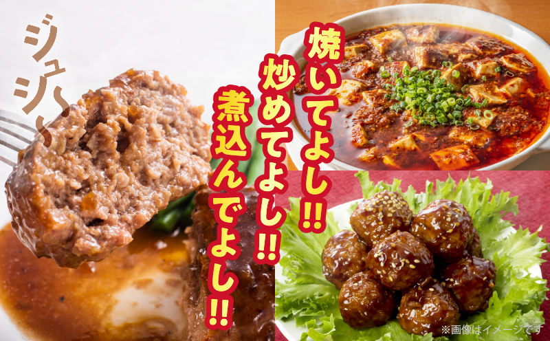 【2週間以内発送】宮崎県産豚ミンチ肉 計1.2kg(300g×4パック) 肉 豚 豚肉 国産_T025-041