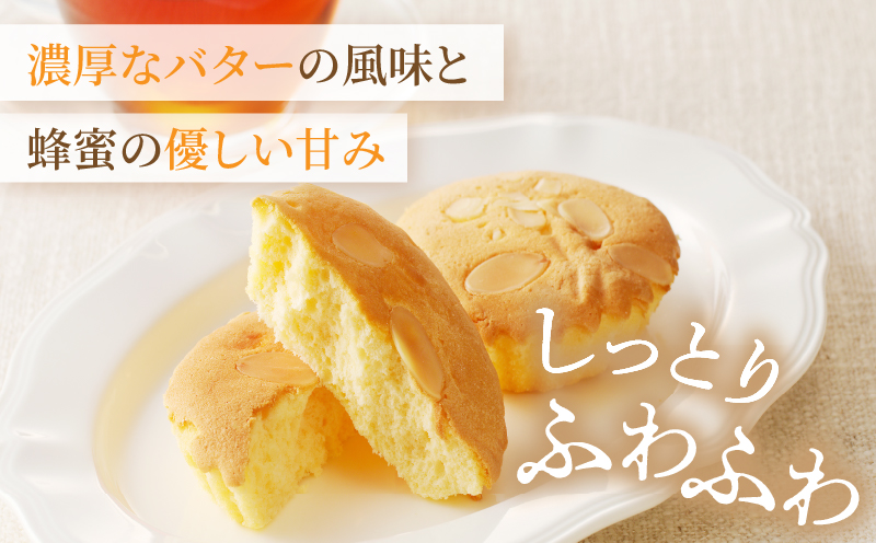 【2週間以内発送】老舗菓子舗のマドレーヌ・カステラセット「合計6個・個包装」 焼き菓子 スイーツ 詰め合わせ 洋菓子_T035-019