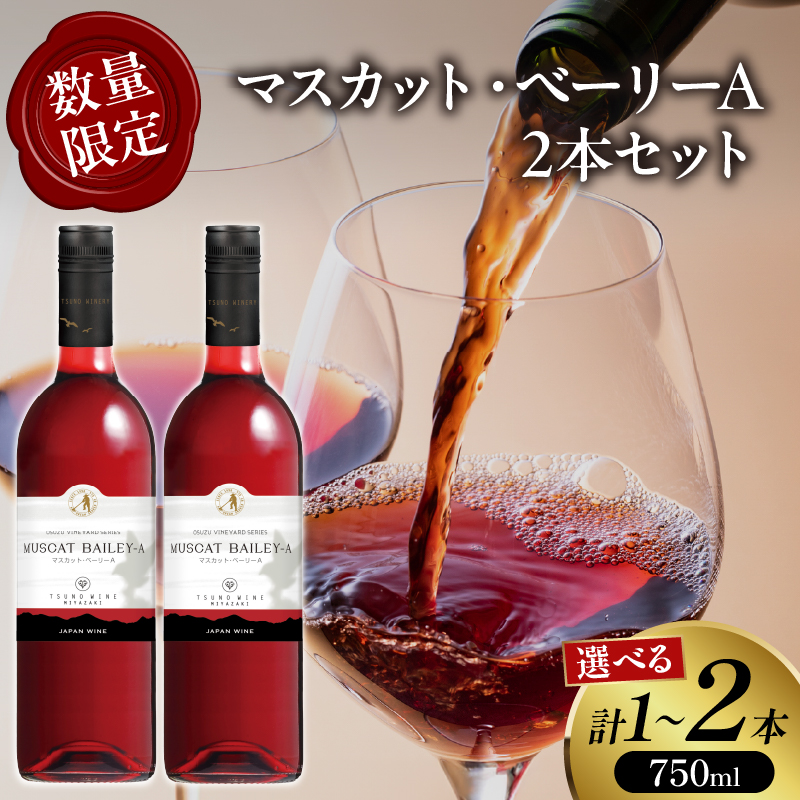 【選べる内容量】 数量限定 マスカット・ベーリーA 1本 or 2本