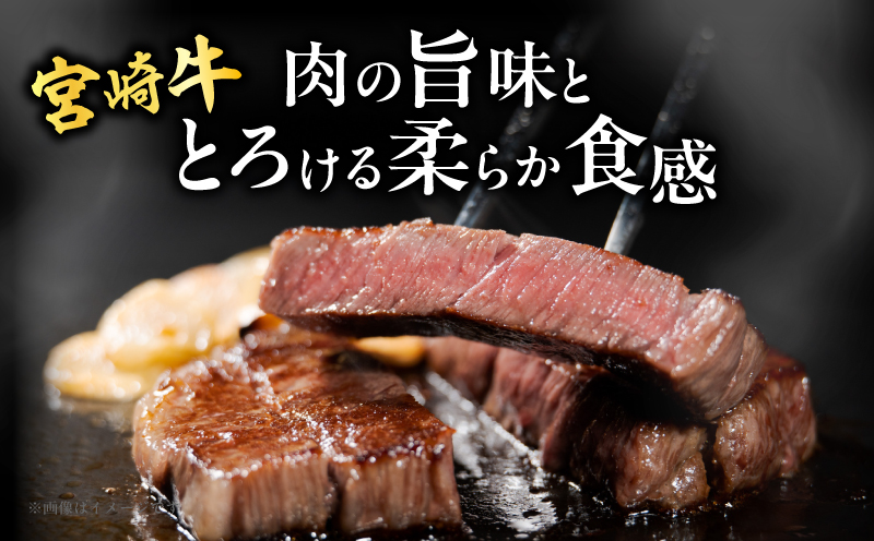 宮崎牛サーロインステーキ(計800g) 肉 牛 牛肉 国産_T050-002