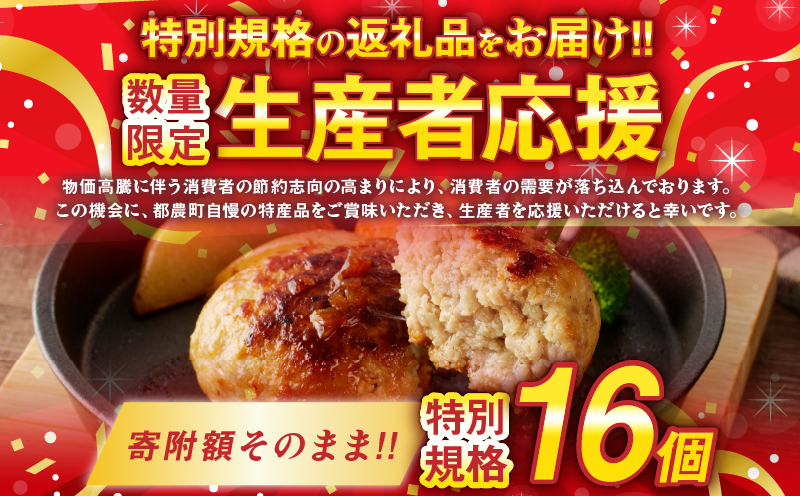 生産者応援!!【期間・数量限定特別規格】宮崎県産豚プレミアムハンバーグ(計16個) 肉 豚肉 加工品 惣菜 国産_T001-0111-ZO