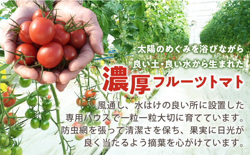 先行予約≪期間限定≫オリジナルブランド「フルーツトマト ゆき」計2kg ミニトマト 野菜 サラダ 国産_T047-0041