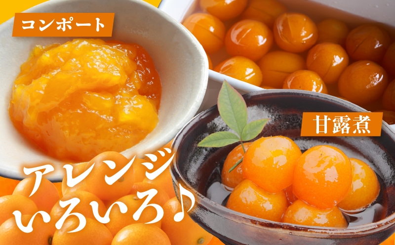 先行予約≪数量限定≫訳ありhiro君ハウスの『完熟きんかん(計2kg)』フルーツ 果物 金柑 国産_T022-003