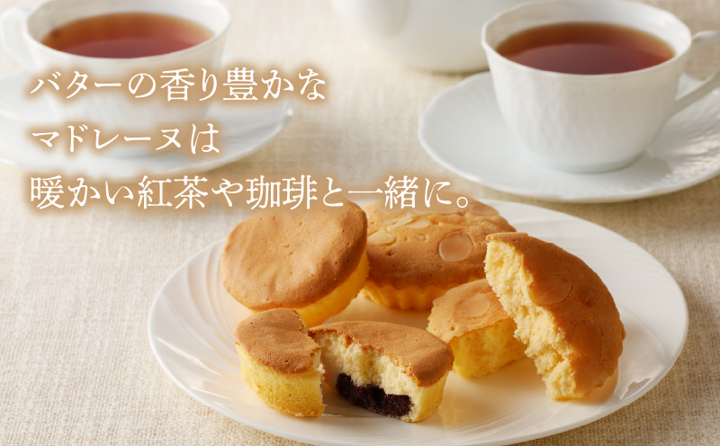 【2週間以内発送】老舗菓子舗のマドレーヌ2種セット(合計8個) 焼き菓子 スイーツ 詰め合わせ 洋菓子_T035-0051