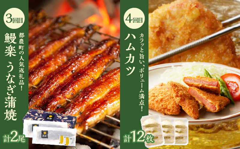 ≪6か月お楽しみ定期便≫都農町定期便(梅) 肉 加工品 デザート 国産_T999-0056