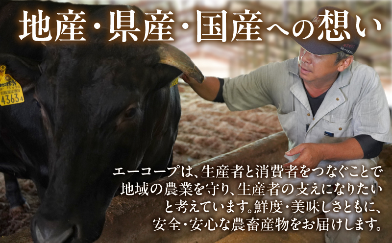 宮崎牛ローススライス(計400g) 肉 牛 牛肉 国産_T050-0051