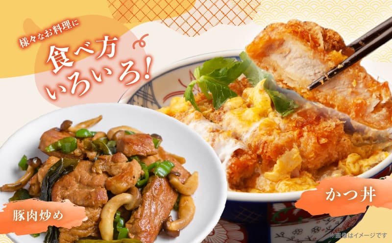 【内容量が選べる】≪宮崎ブランドポーク≫ロース(トンテキ・とんかつ用) 500g 1kg 1.5kg 2kg