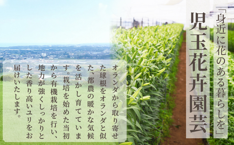 【2週間以内発送】「オリエンタルリリー ユリ」(ピンク) 計6本 生花 切花 百合 国産_T045-0021