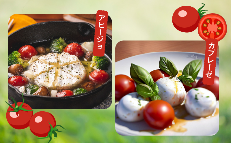 先行予約≪期間限定≫オリジナルブランド「フルーツトマト ゆき」計2kg ミニトマト 野菜 サラダ 国産_T047-0041