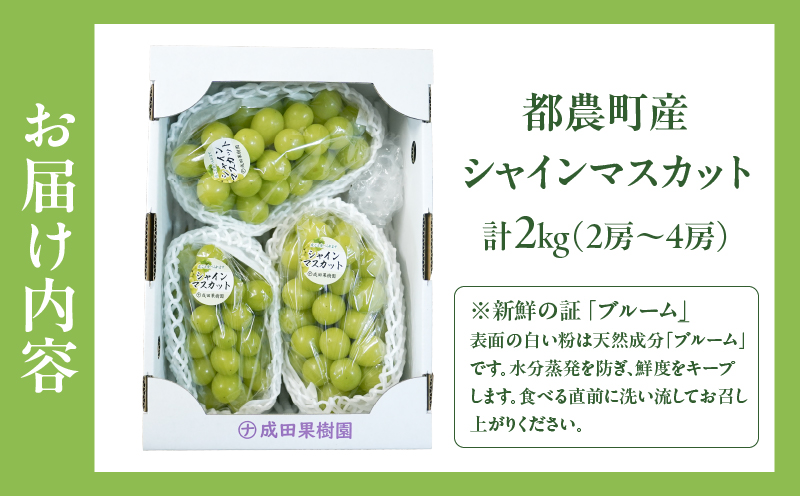 先行予約≪期間限定≫都農町産シャインマスカット(計2kg) ぶどう 果物 国産_T010-0015