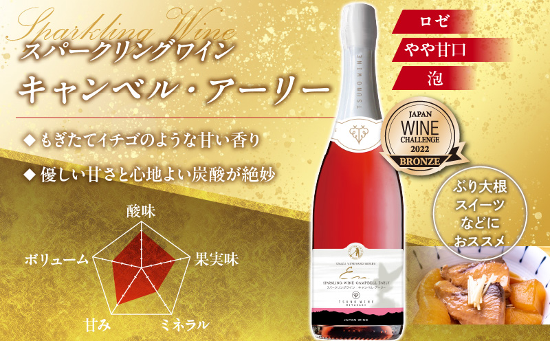 ＼年内発送!!／スパークリングワイン飲み比べ3本セット 酒 飲料 アルコール 国産_T014-003-N