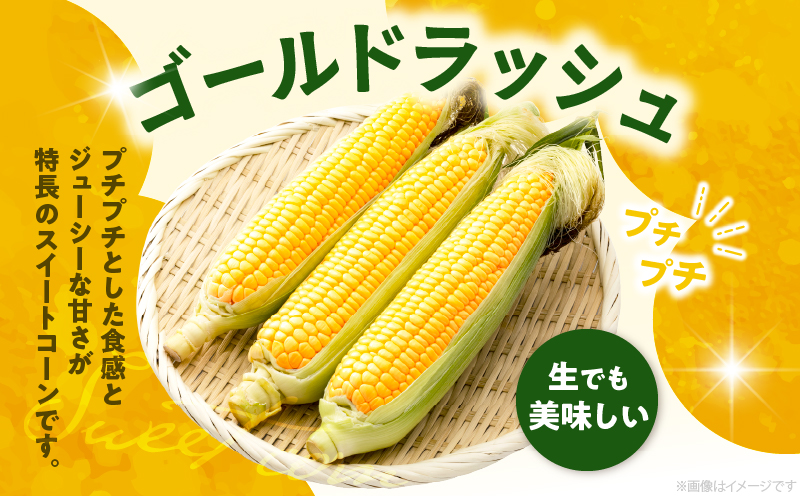 先行予約≪期間限定≫みやざきフレッシュスイートコーン(約9kg) とうもろこし 野菜 旬 おやつ 国産_T015-0055
