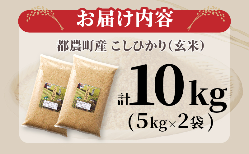 先行予約≪都農町産≫新米コシヒカリ(玄米)計10kg 米 お米 ご飯 国産_T031-0045