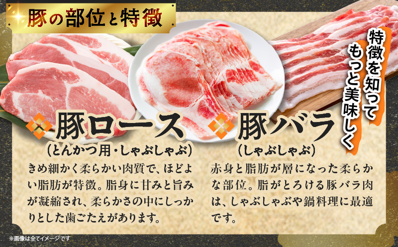 宮崎県産豚肉6種盛り合わせセット(合計4.1kg) 肉 豚 豚肉 おかず 国産_T030-204