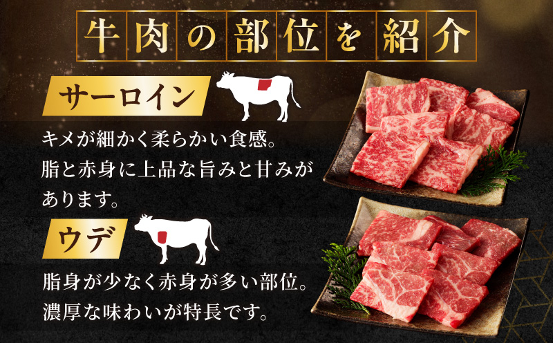 【内容量が選べる】 生産者応援 訳あり 黒毛和牛 6種 焼肉 300g 600g