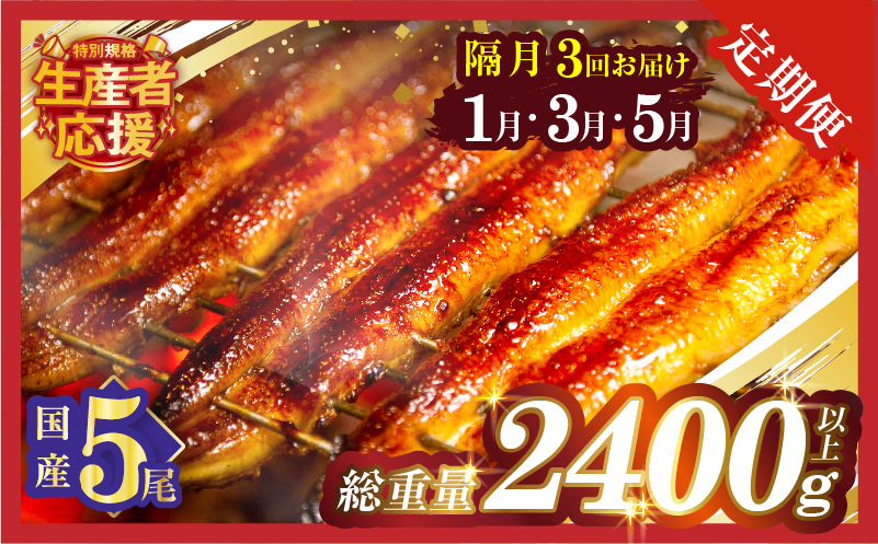 先行予約≪隔月定期便全3回≫1月・3月・5月お届け!!うなぎ蒲焼5尾(総重量2400g以上) 鰻 魚 魚介 加工品 国産_T026-0058