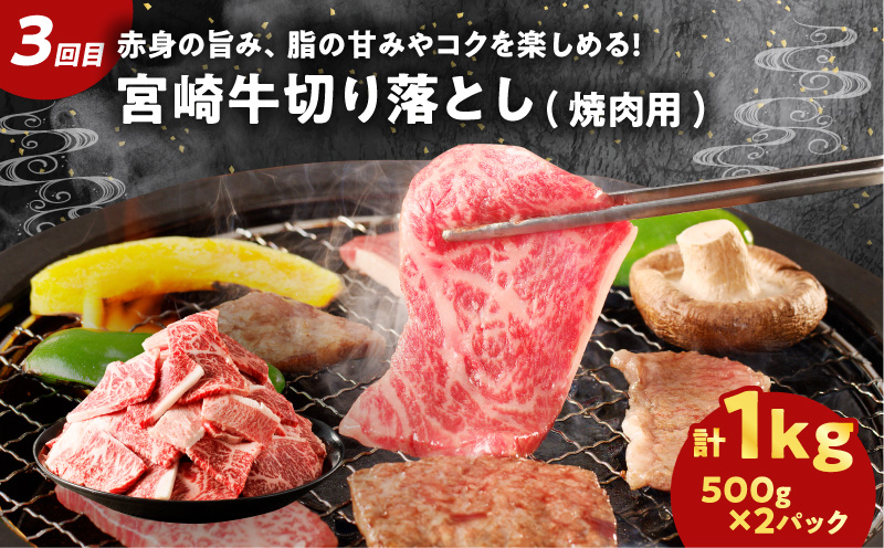≪3か月お楽しみ定期便≫宮崎県産牛＆豚の満腹セット(総重量3.5kg) 肉 牛 牛肉 豚肉 おかず 国産_T030-1853